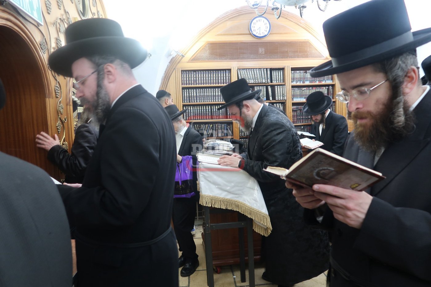 הגה"צ אב"ד ויז'ניץ אלעד במירון