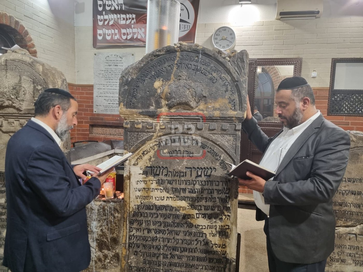 זופניק בכיכר • כל התמונות, הנייעס והחשיפות של השבוע
