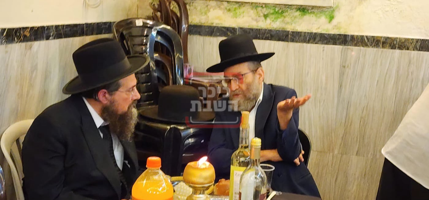 זופניק בכיכר • כל התמונות, הנייעס והחשיפות של השבוע