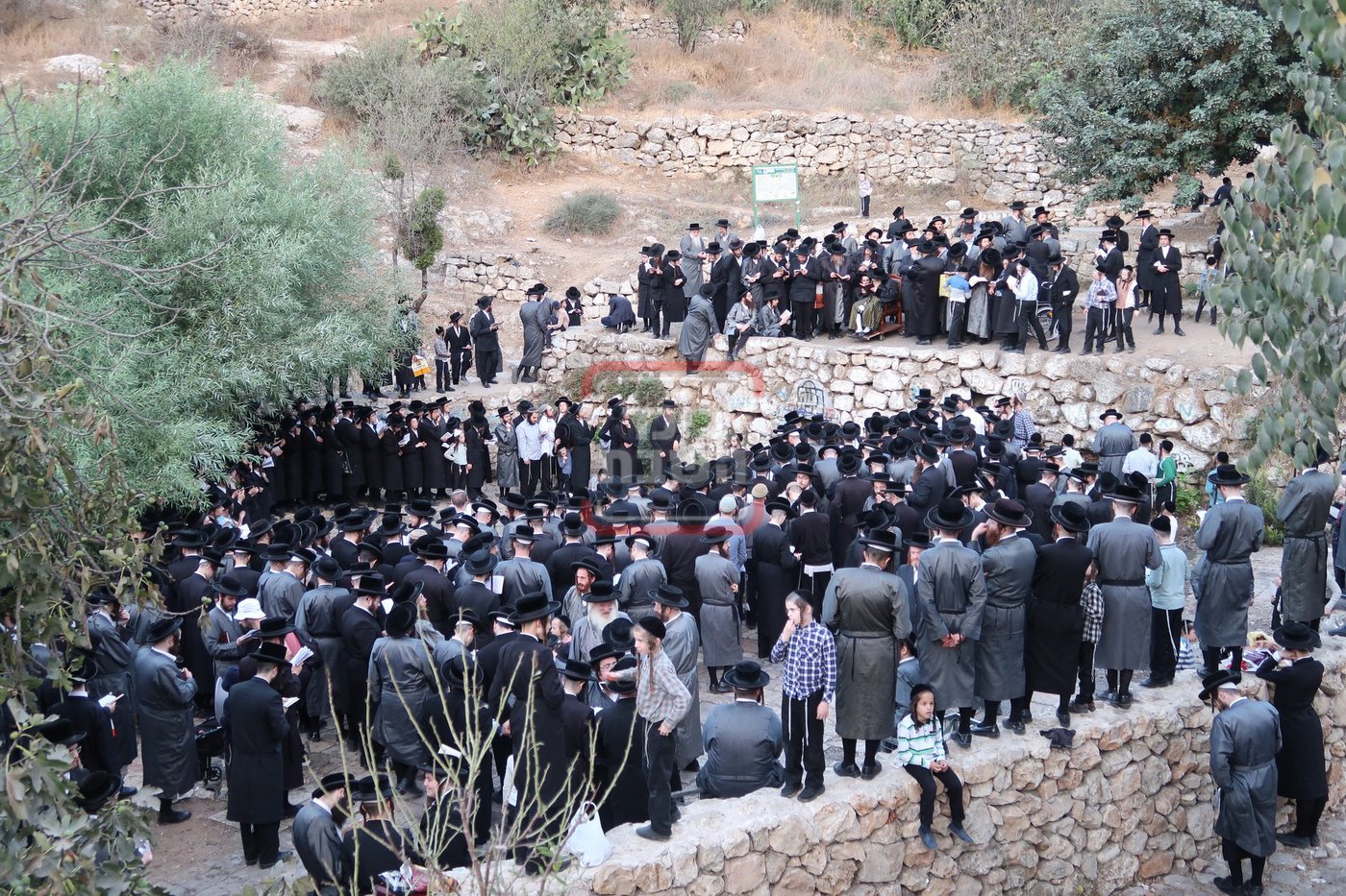 האדמו"ר מתולדות אברהם יצחק בתשליך 