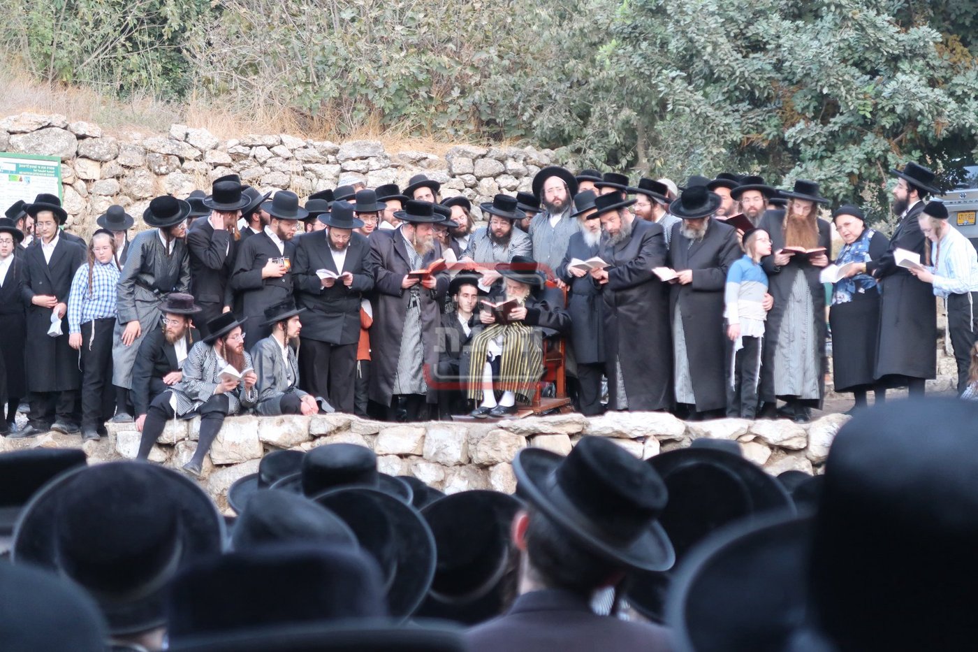 האדמו"ר מתולדות אברהם יצחק בתשליך 