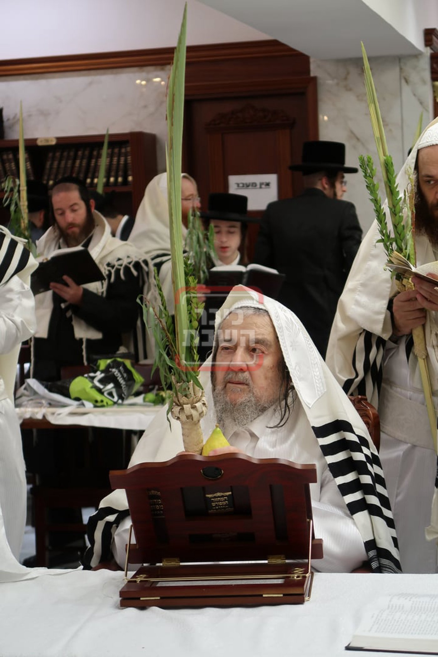 חג הסוכות אצל הגה"צ רבי יעקב מאיר שעכטער
