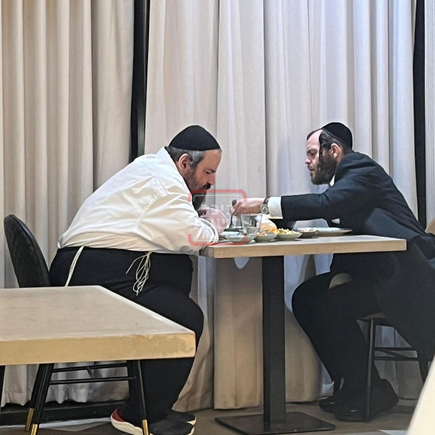 זופניק בכיכר • כל התמונות, הנייעס והחשיפות של השבוע