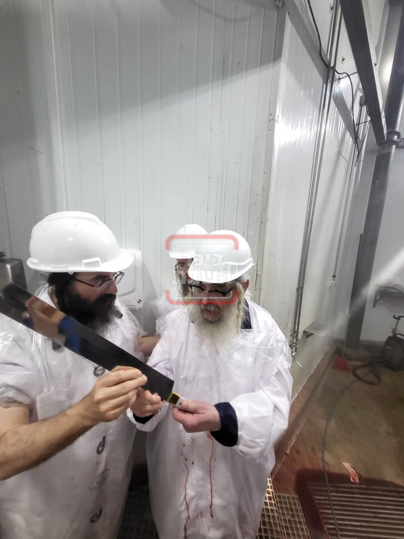 האדמו"ר מסאטמר בביקור בבית השחיטה באורגוואי