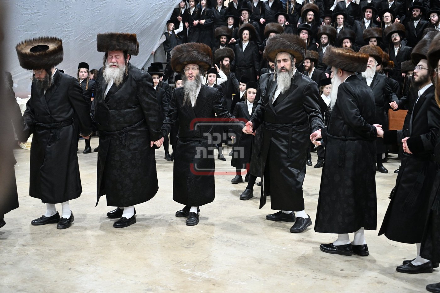 שמחת בית מכנובקא בעלזא - מאור החיים - זוויעהיל 