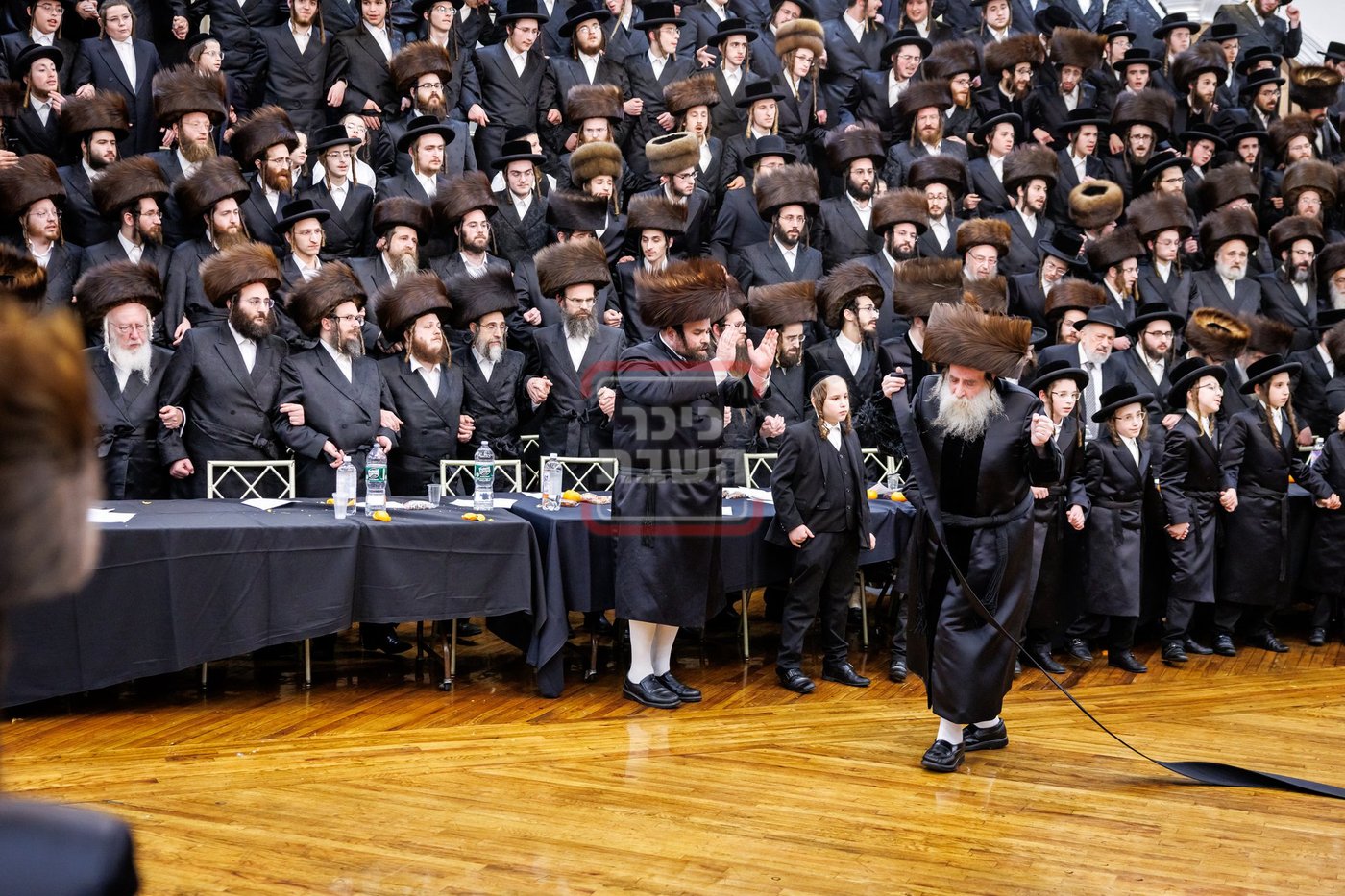 שמחת נישואי נכד האדמו"ר מתולדות צבי דספינקא 