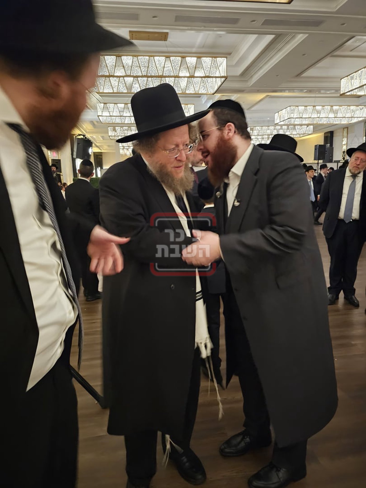 זופניק בכיכר • כל התמונות, הנייעס והחשיפות של השבוע