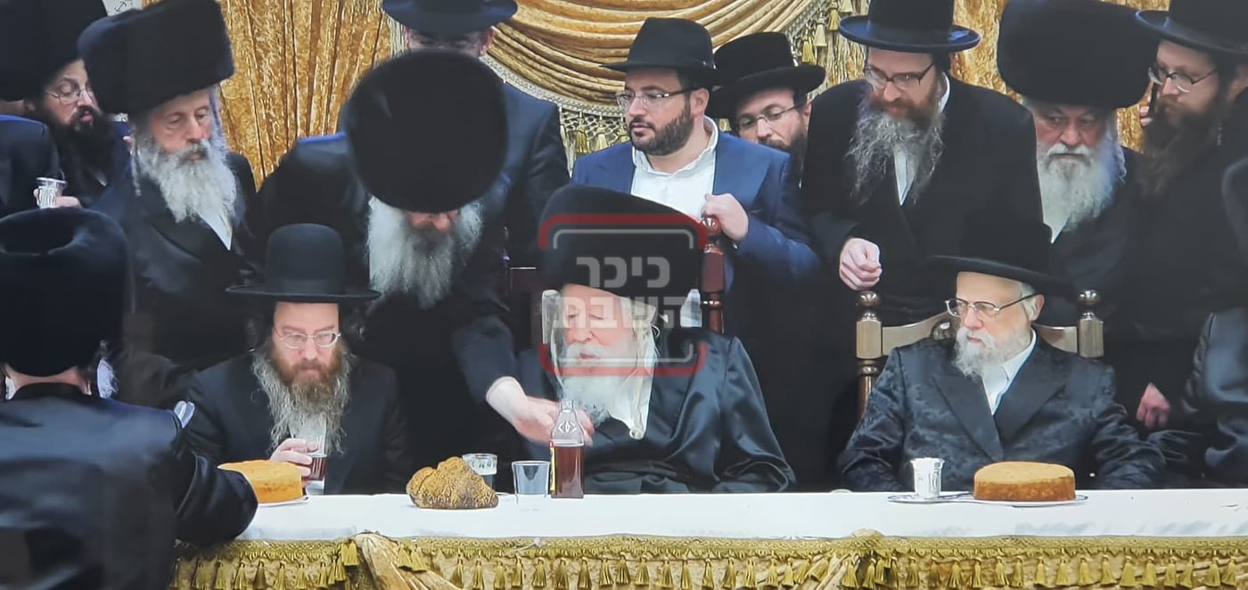 זופניק בכיכר • כל התמונות, הנייעס והחשיפות של השבוע