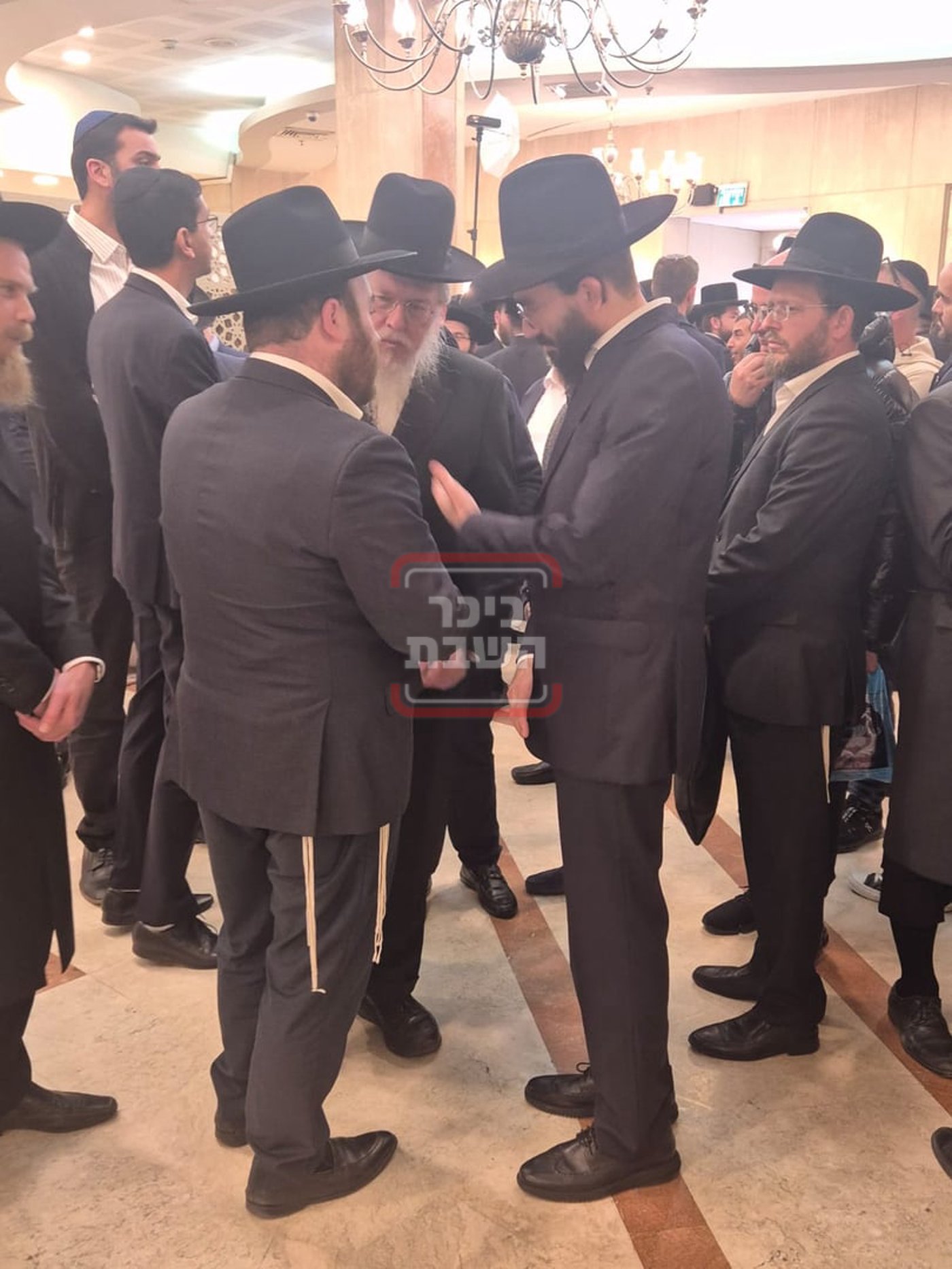 זופניק בכיכר • כל התמונות, הנייעס והחשיפות של השבוע