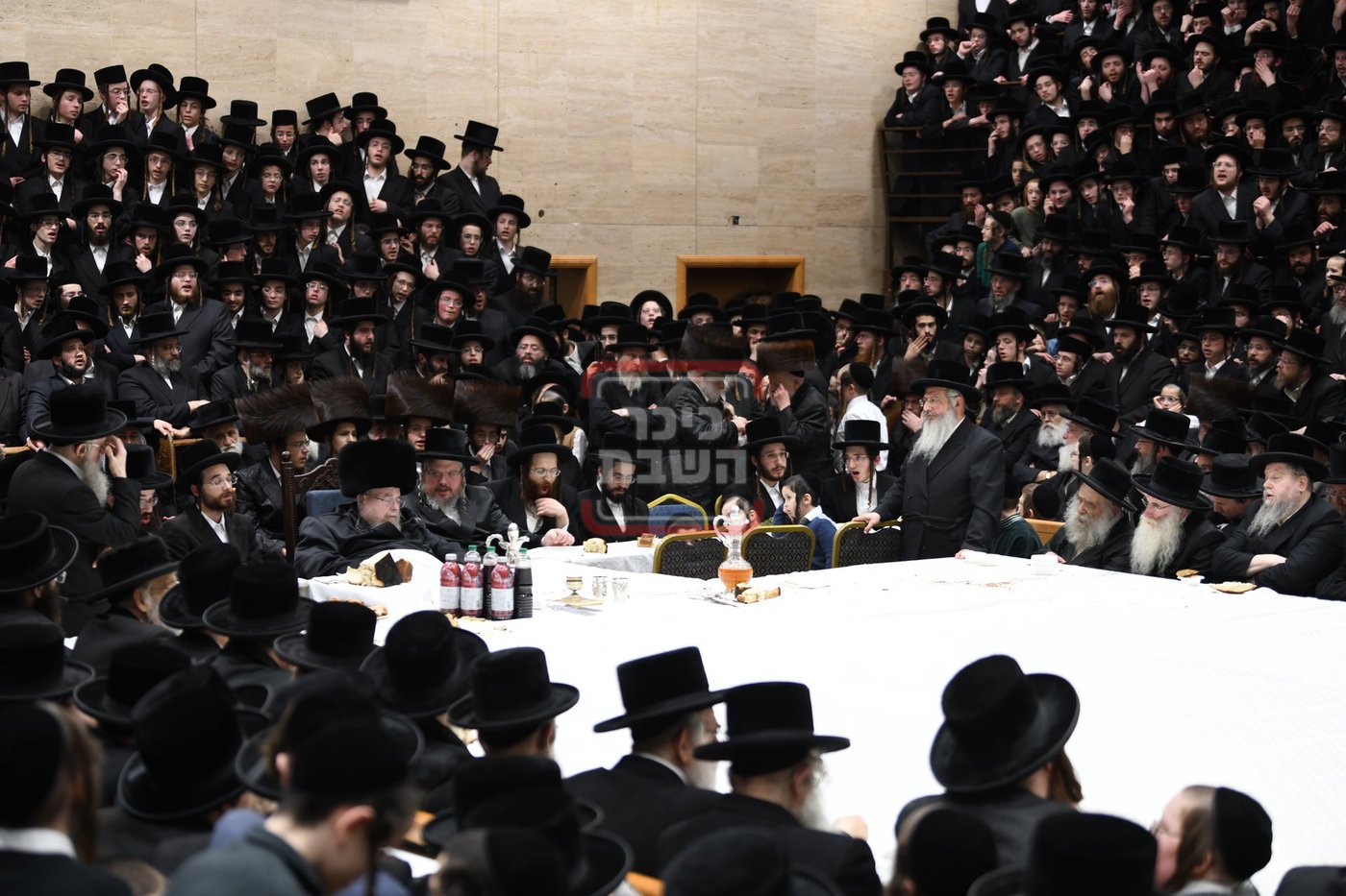 ט"ו בשבט בחצה"ק בעלזא