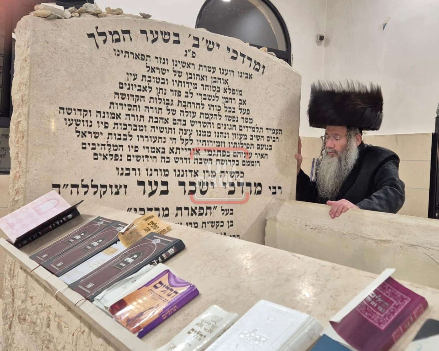 זופניק בכיכר | כל התמונות, הנייעס והחשיפות של השבוע