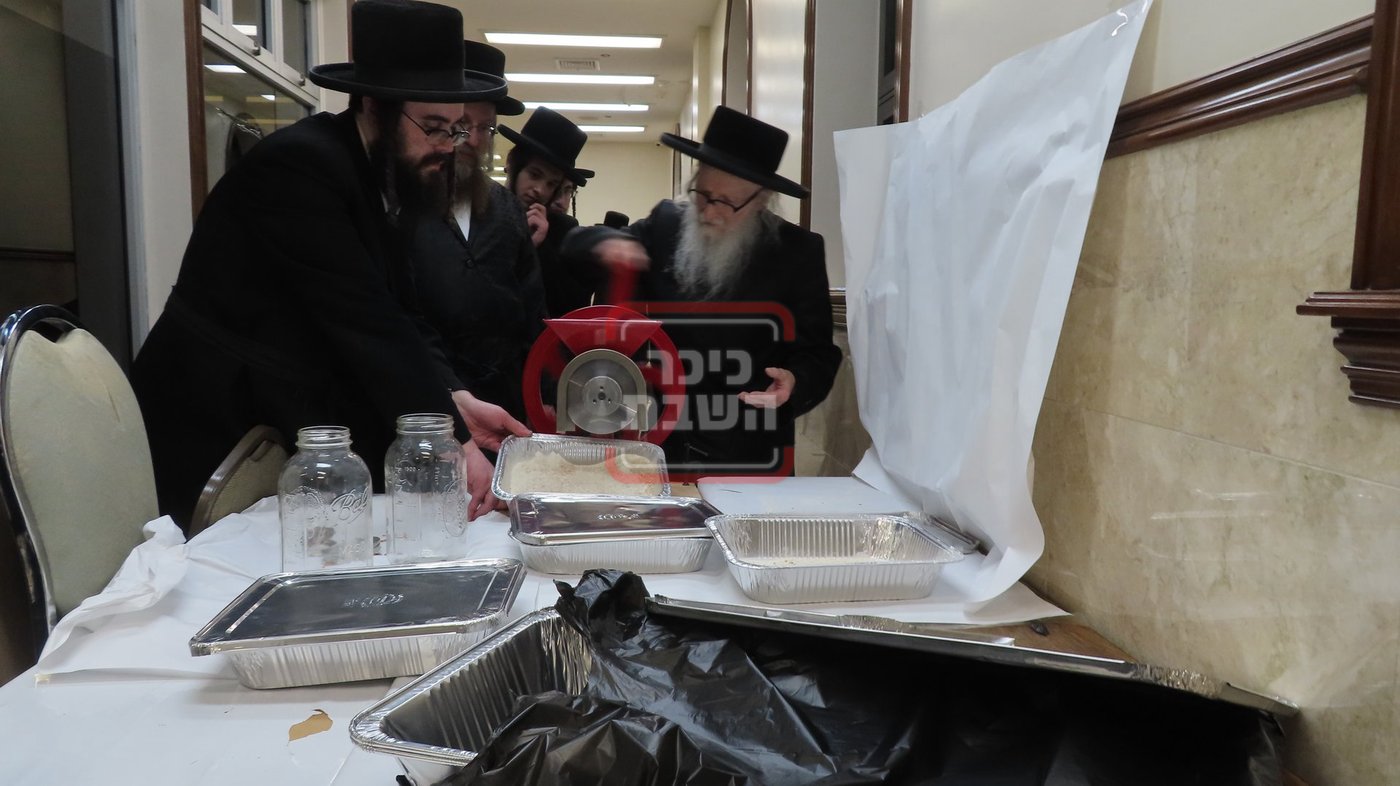 האדמו"ר מסערדאהעלי בטחינת חיטים