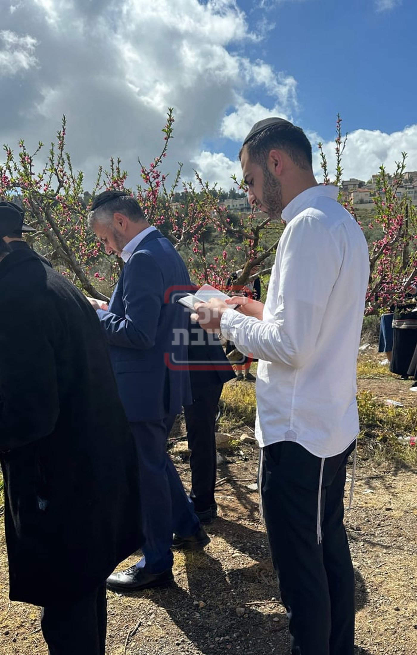 זופניק בכיכר | כל התמונות, הנייעס והחשיפות של השבוע
