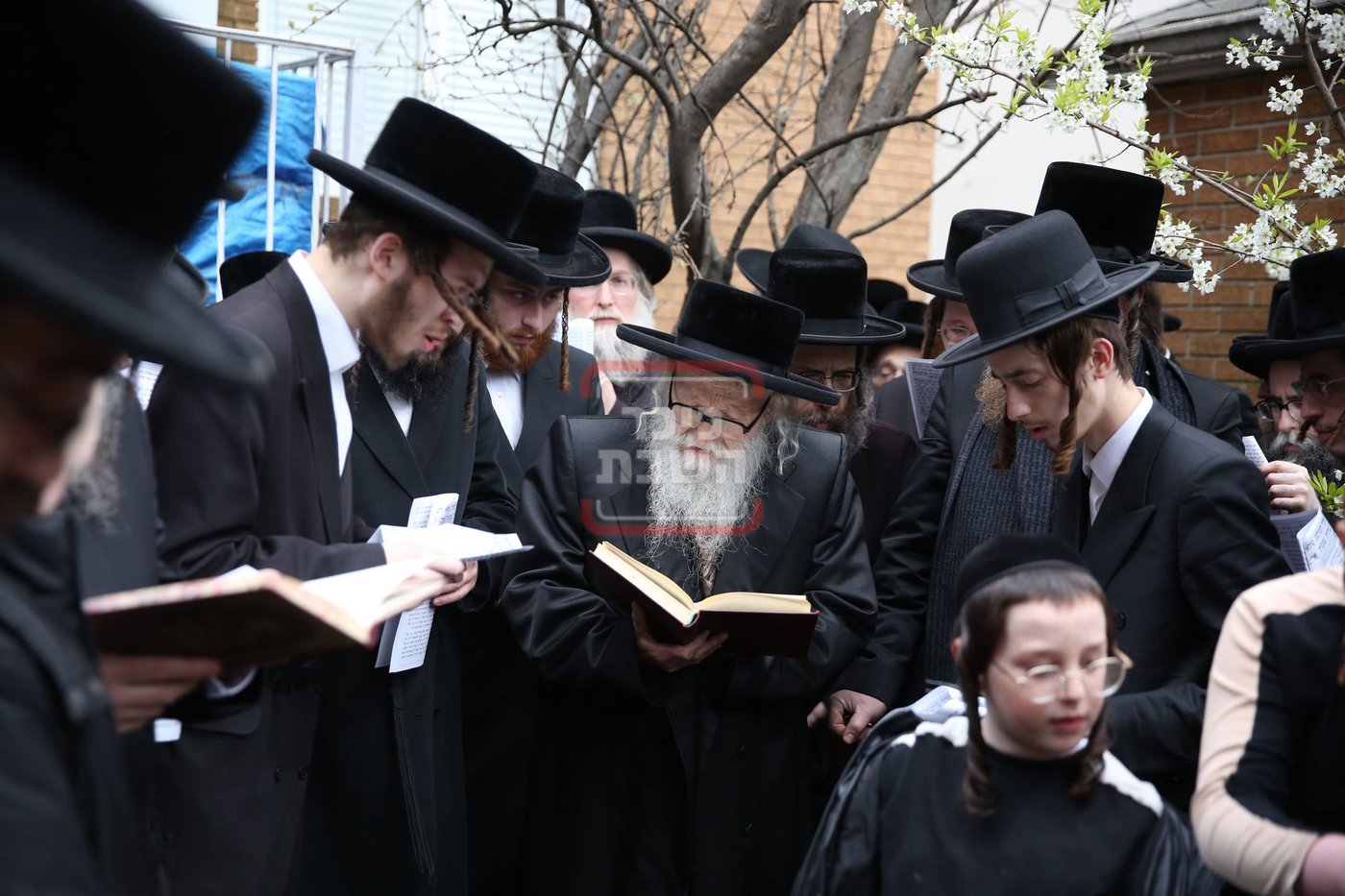 האדמו"ר מסערדאהעלי בברכת אילנות