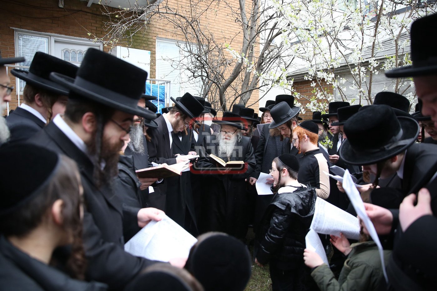 האדמו"ר מסערדאהעלי בברכת אילנות