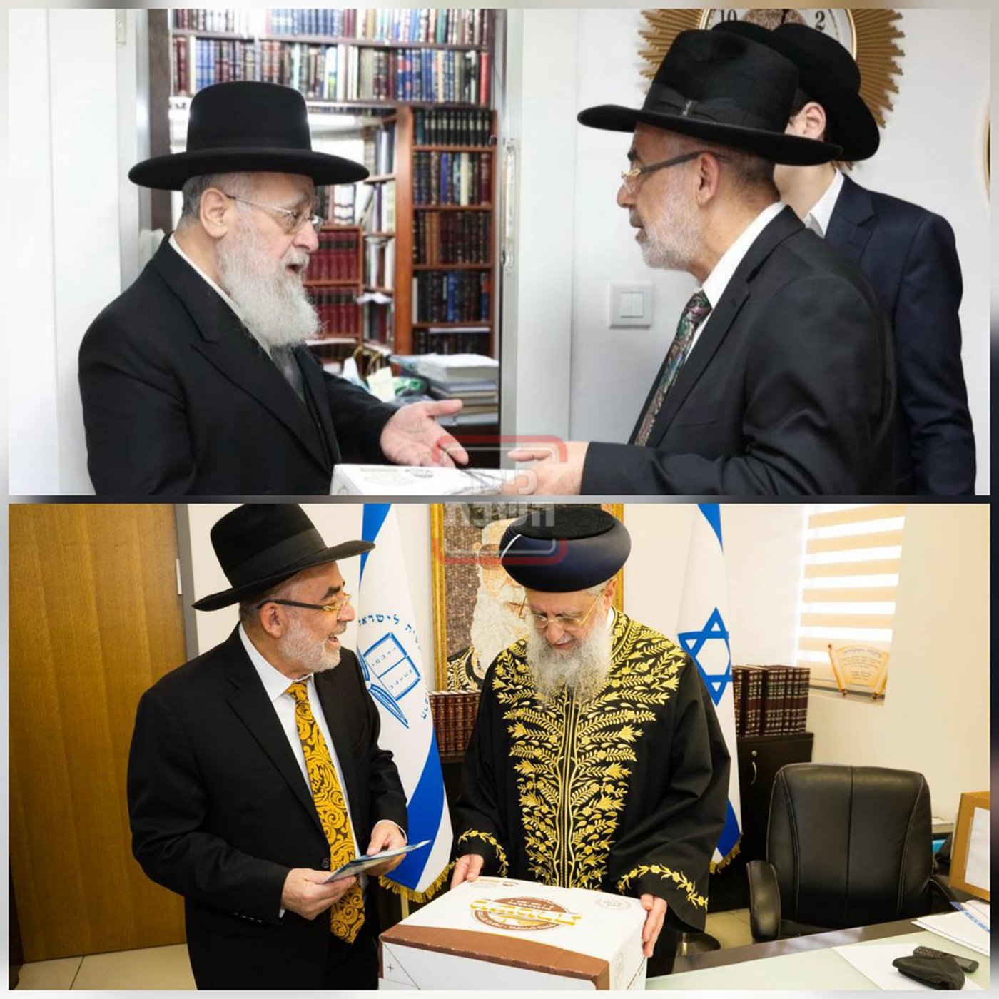 זופניק בכיכר | כל התמונות, הנייעס והחשיפות של השבוע