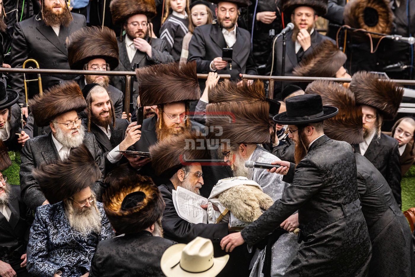מעמד פדיון פטר חמור בסאטמר בהשתתפות האדמו"ר מסערדאהעלי