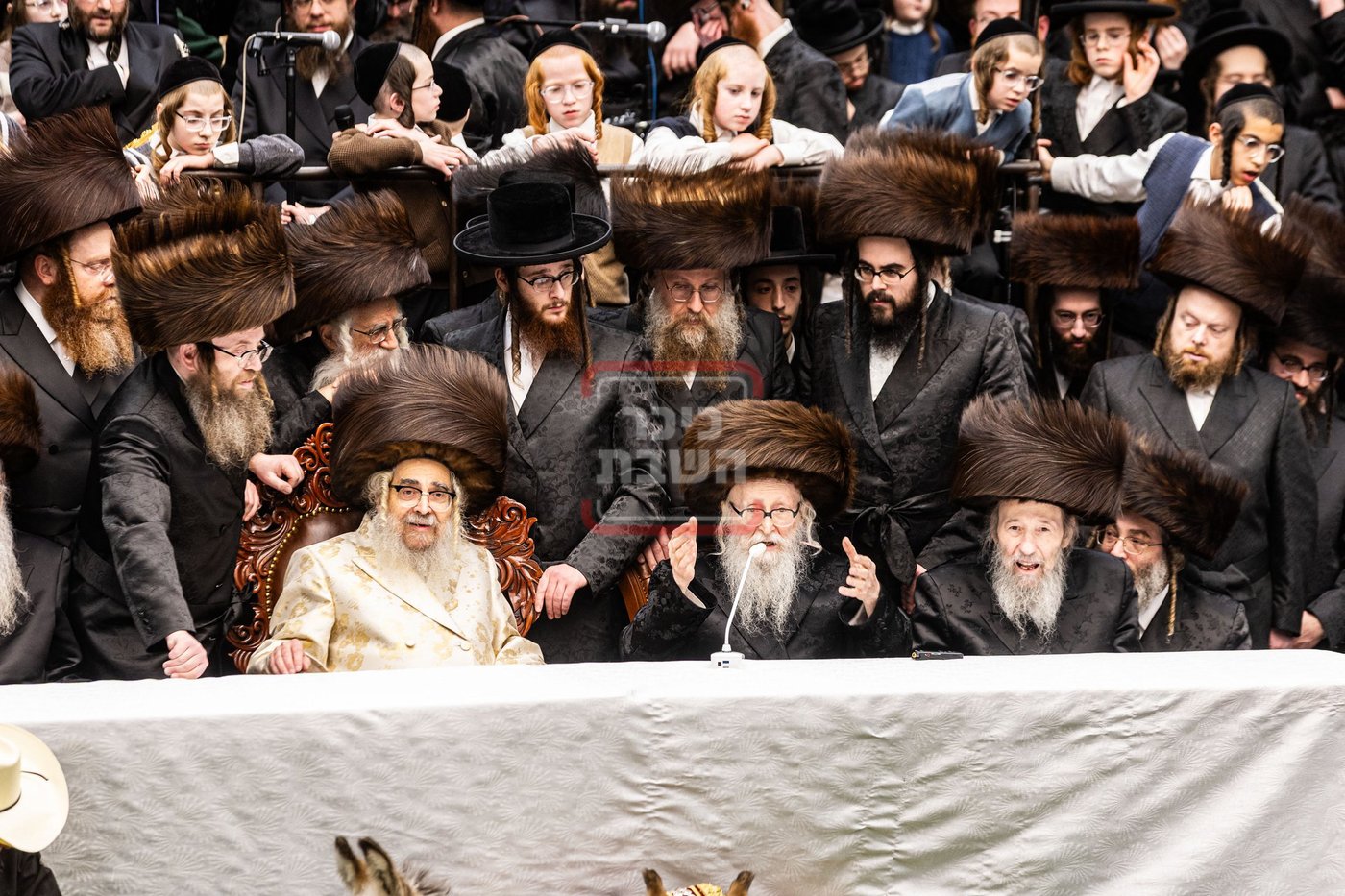 מעמד פדיון פטר חמור בסאטמר בהשתתפות האדמו"ר מסערדאהעלי