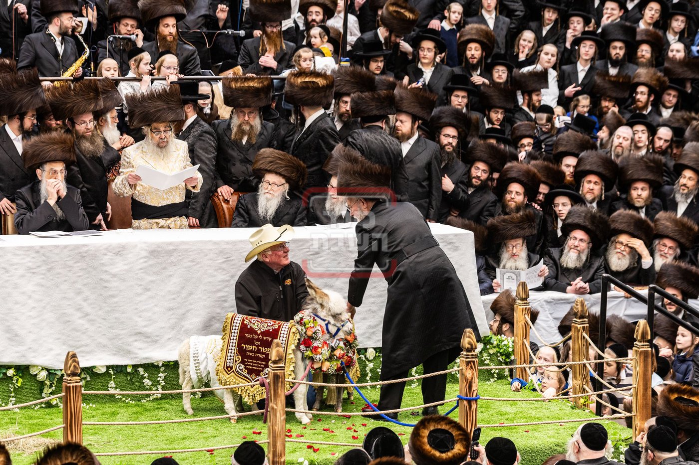 מעמד פדיון פטר חמור בסאטמר בהשתתפות האדמו"ר מסערדאהעלי
