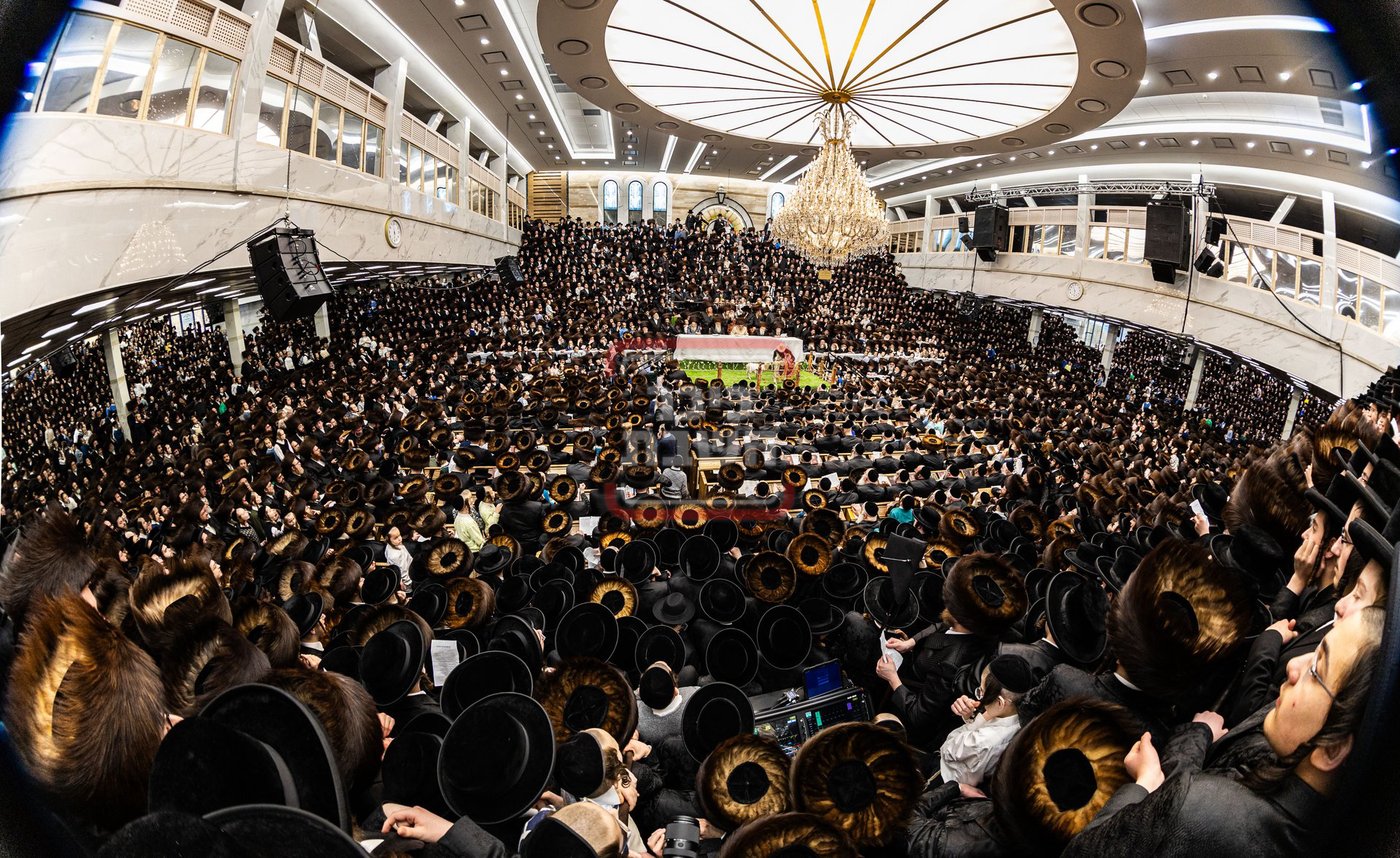 מעמד פדיון פטר חמור בסאטמר בהשתתפות האדמו"ר מסערדאהעלי