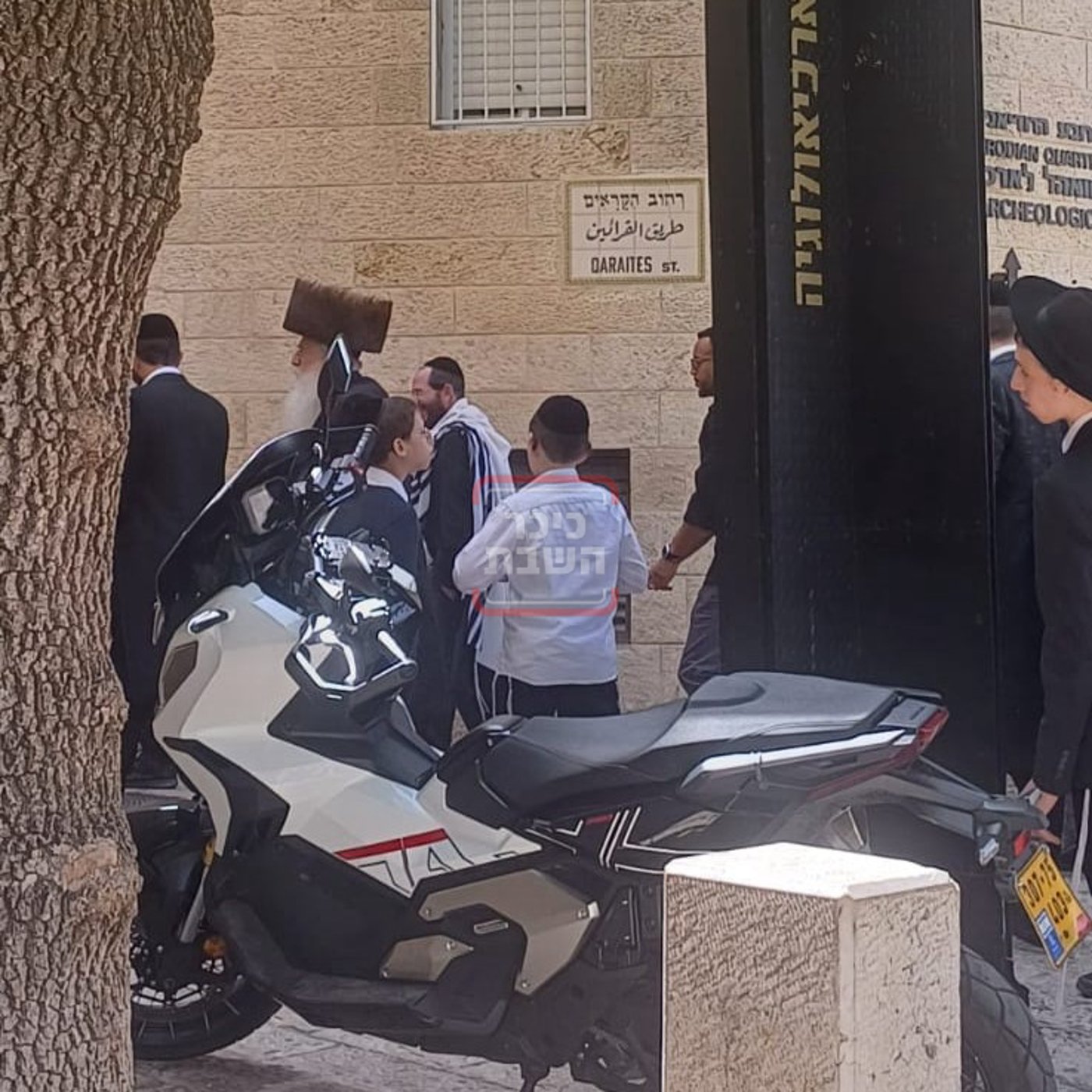 זופניק בכיכר | כל התמונות, הנייעס והחשיפות של פסח והמסתעף