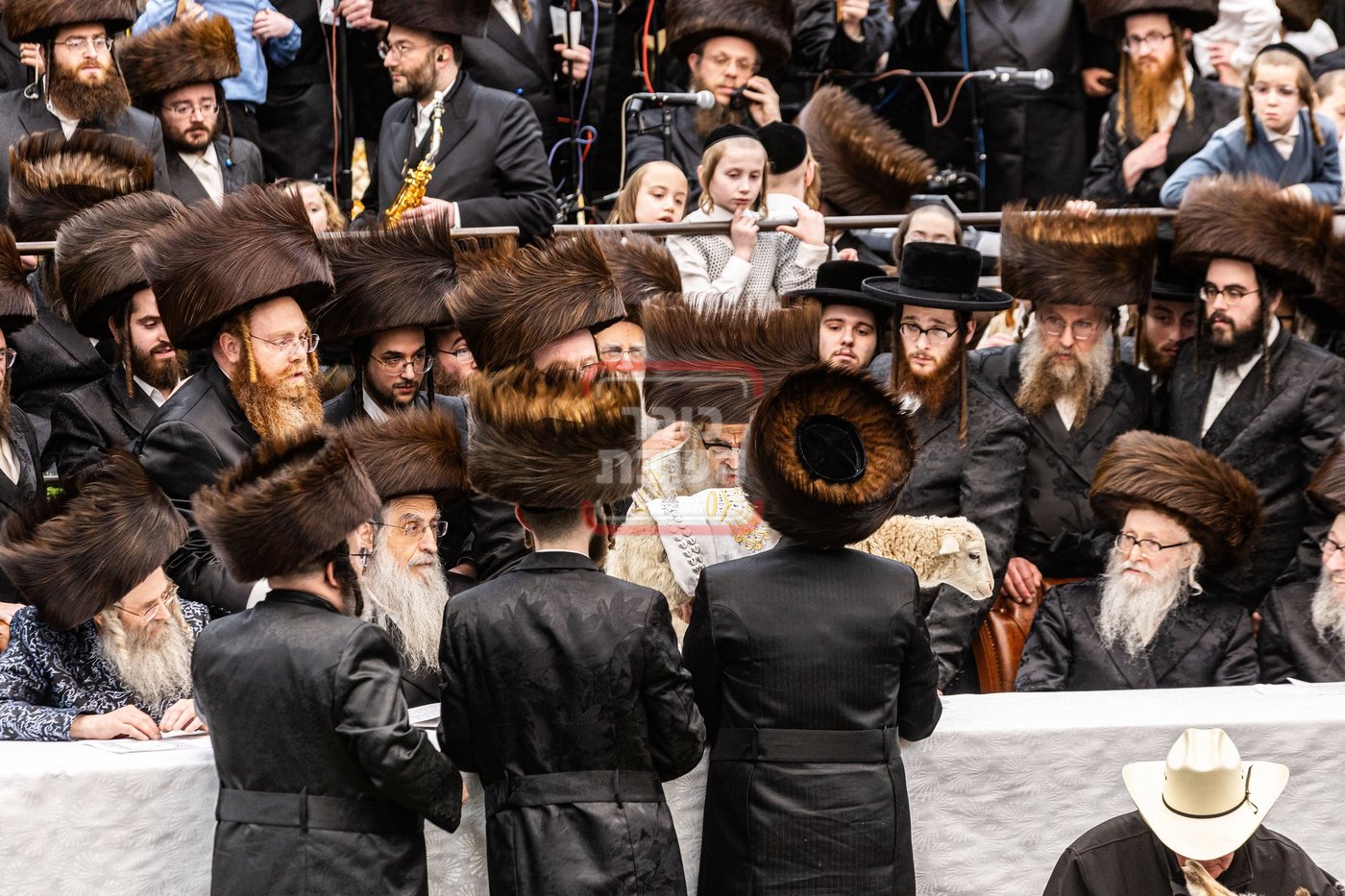 מעמד פדיון פטר חמור בסאטמר בהשתתפות האדמו"ר מסערדאהעלי