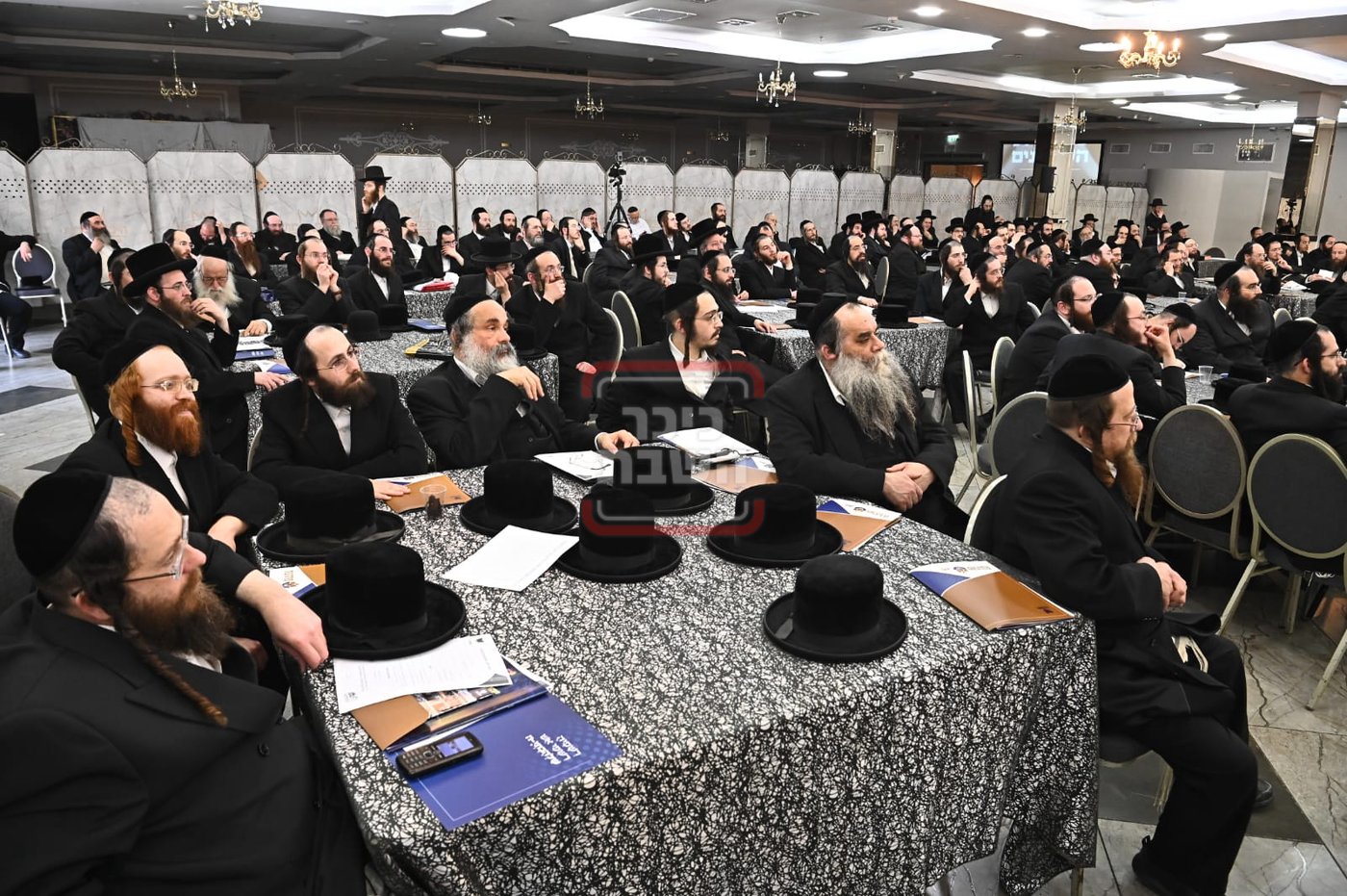 זופניק בכיכר | כל התמונות, הנייעס והחשיפות של פסח והמסתעף