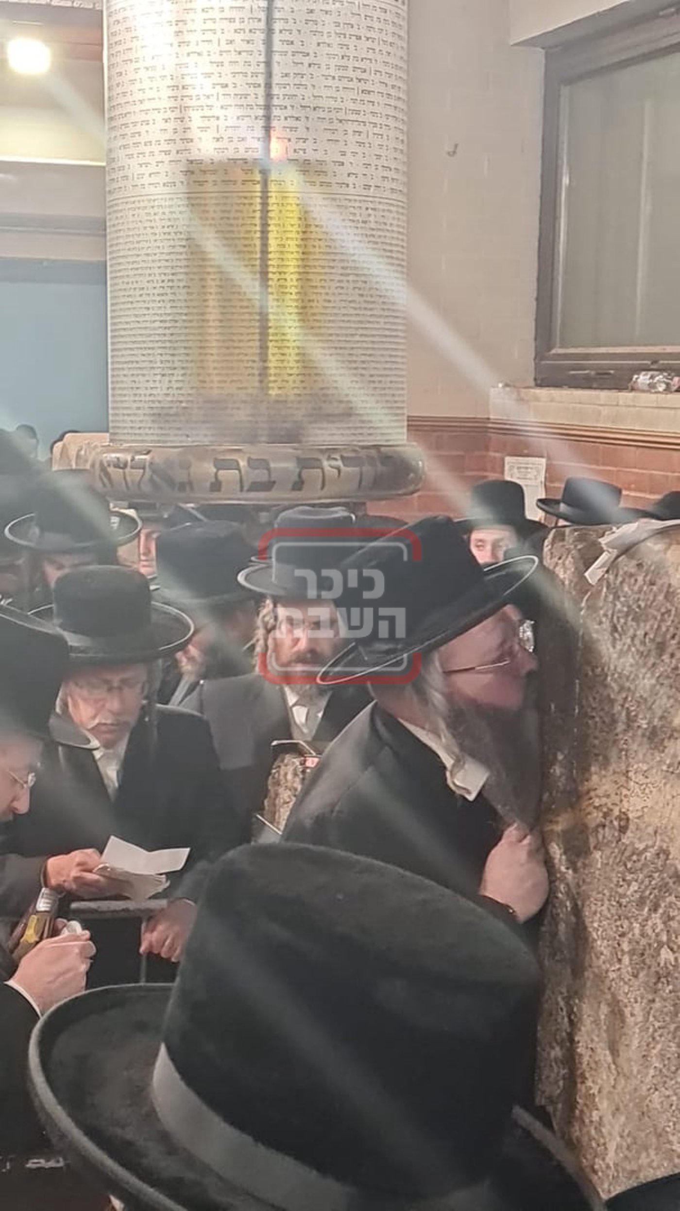 זופניק בכיכר | כל התמונות, הנייעס והחשיפות של השבוע