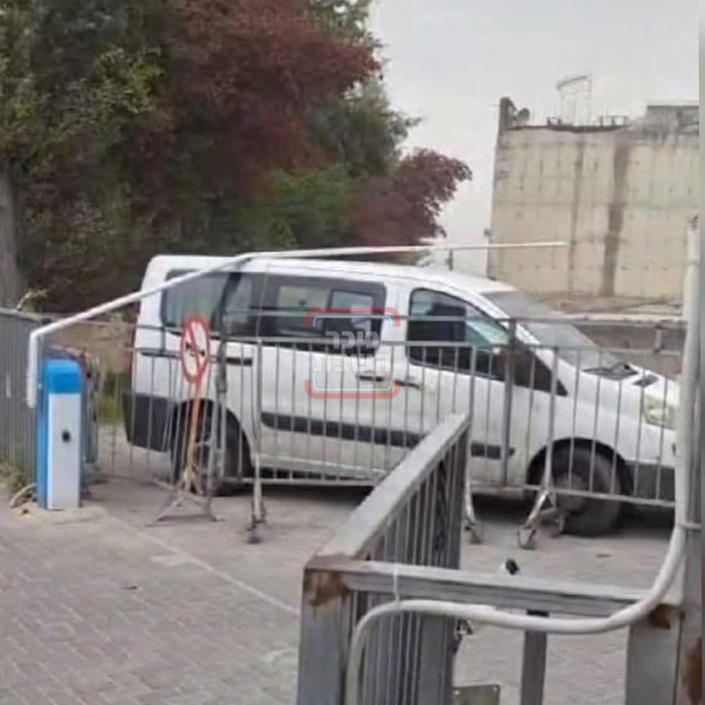 זופניק בכיכר | כל התמונות, הנייעס והחשיפות של השבוע