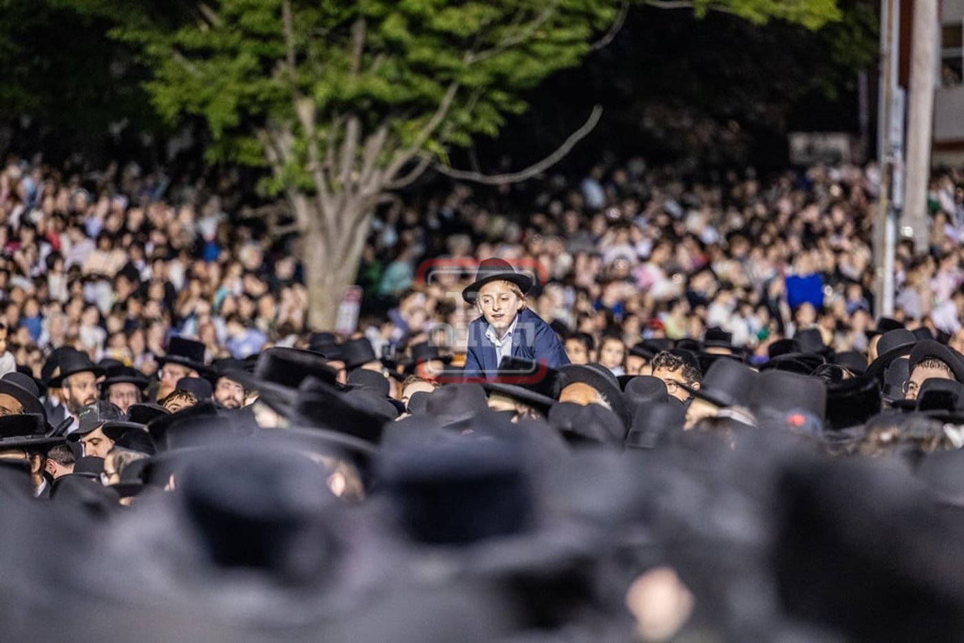מעמד ההדלקה בחצה"ק סאטמר