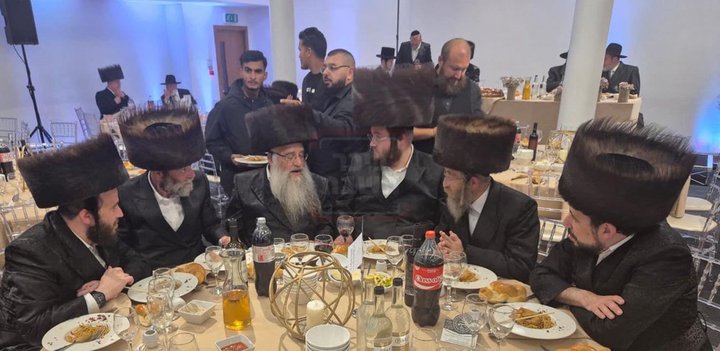 זופניק בכיכר | כל התמונות, הנייעס והחשיפות של השבוע שאסור לכם לפספס