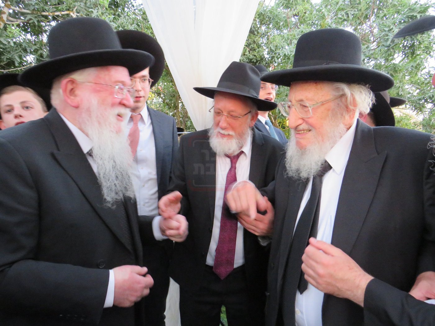 שמחת נישואי נכד הגר"א לוי 