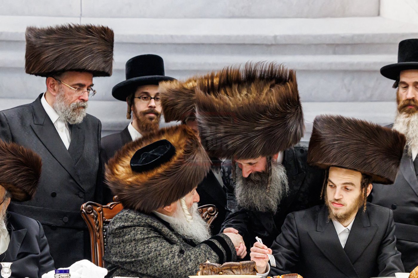 שמחת שבע ברכות לנכדת האדמו"ר מבאבוב