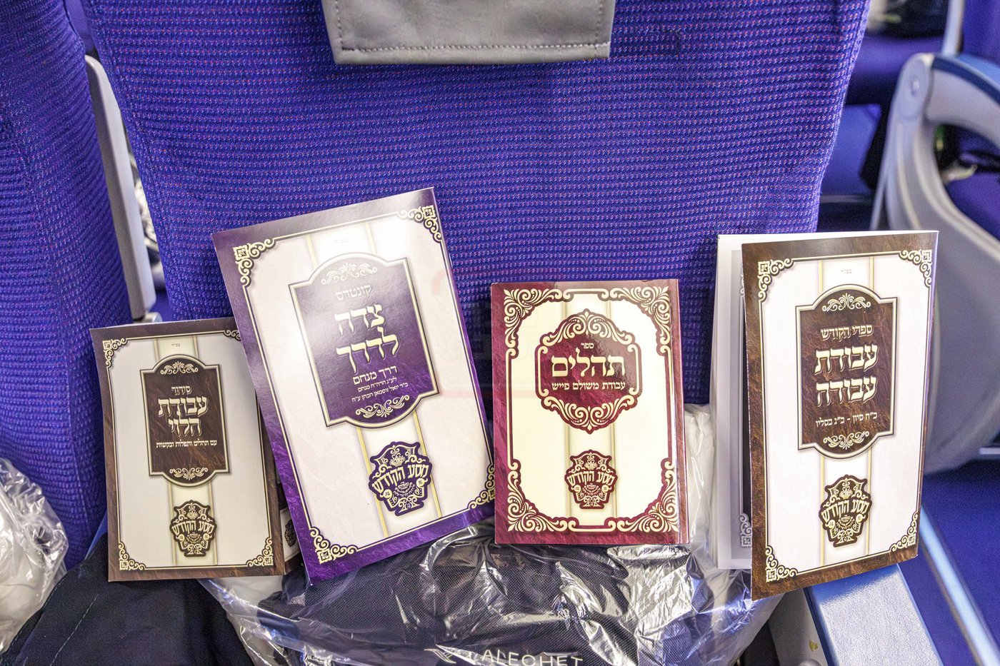האדמו"ר מטאהש במסע הקודש להונגריה