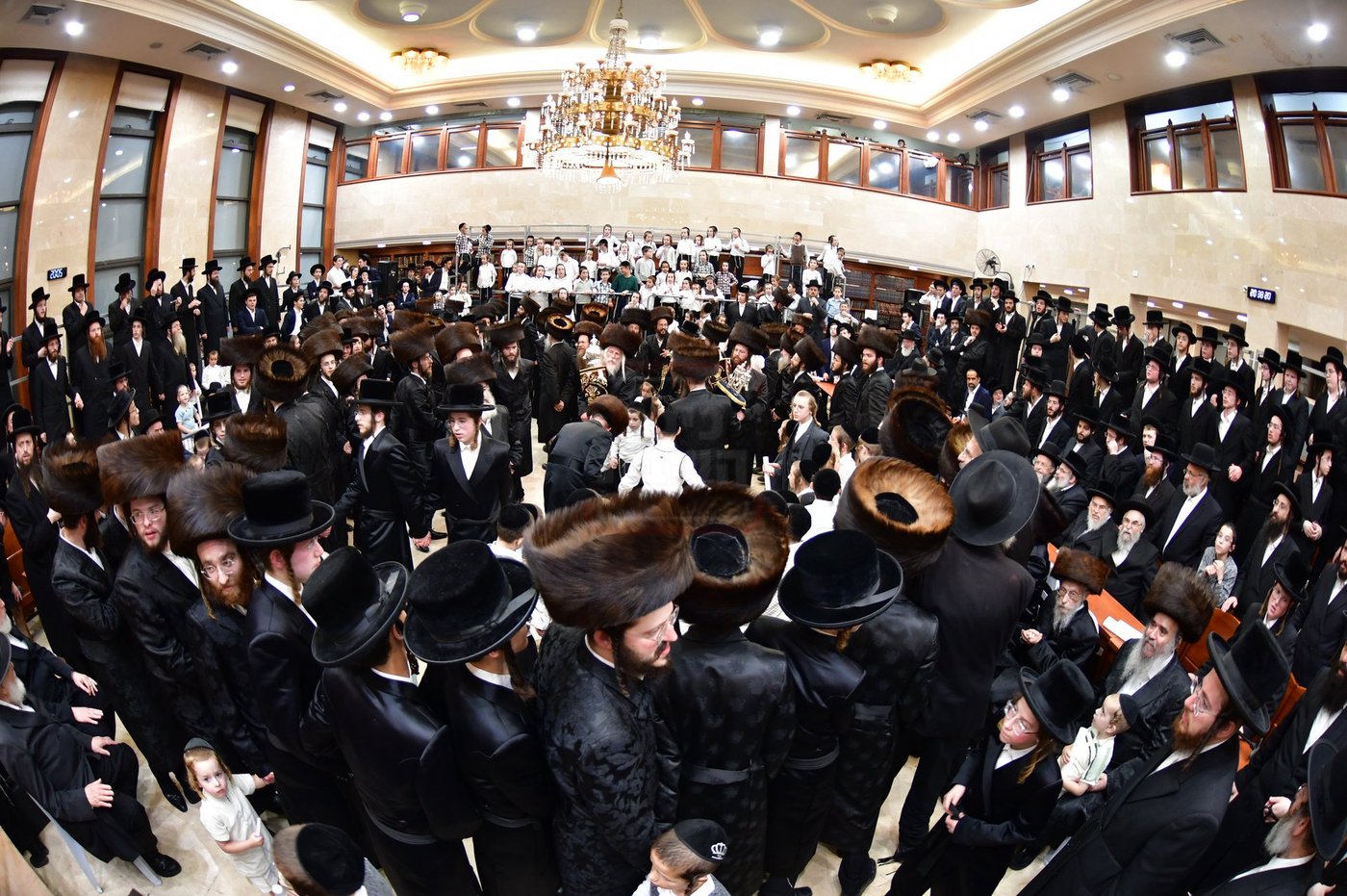 הכנסת ס"ת לביהמ"ד 'שבט הלוי'