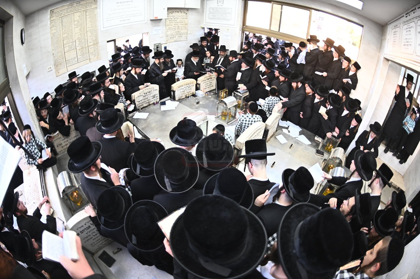 האדמו"ר מסערט ויז'ניץ בתפילה באוהל בית ויז'ניץ בבני ברק