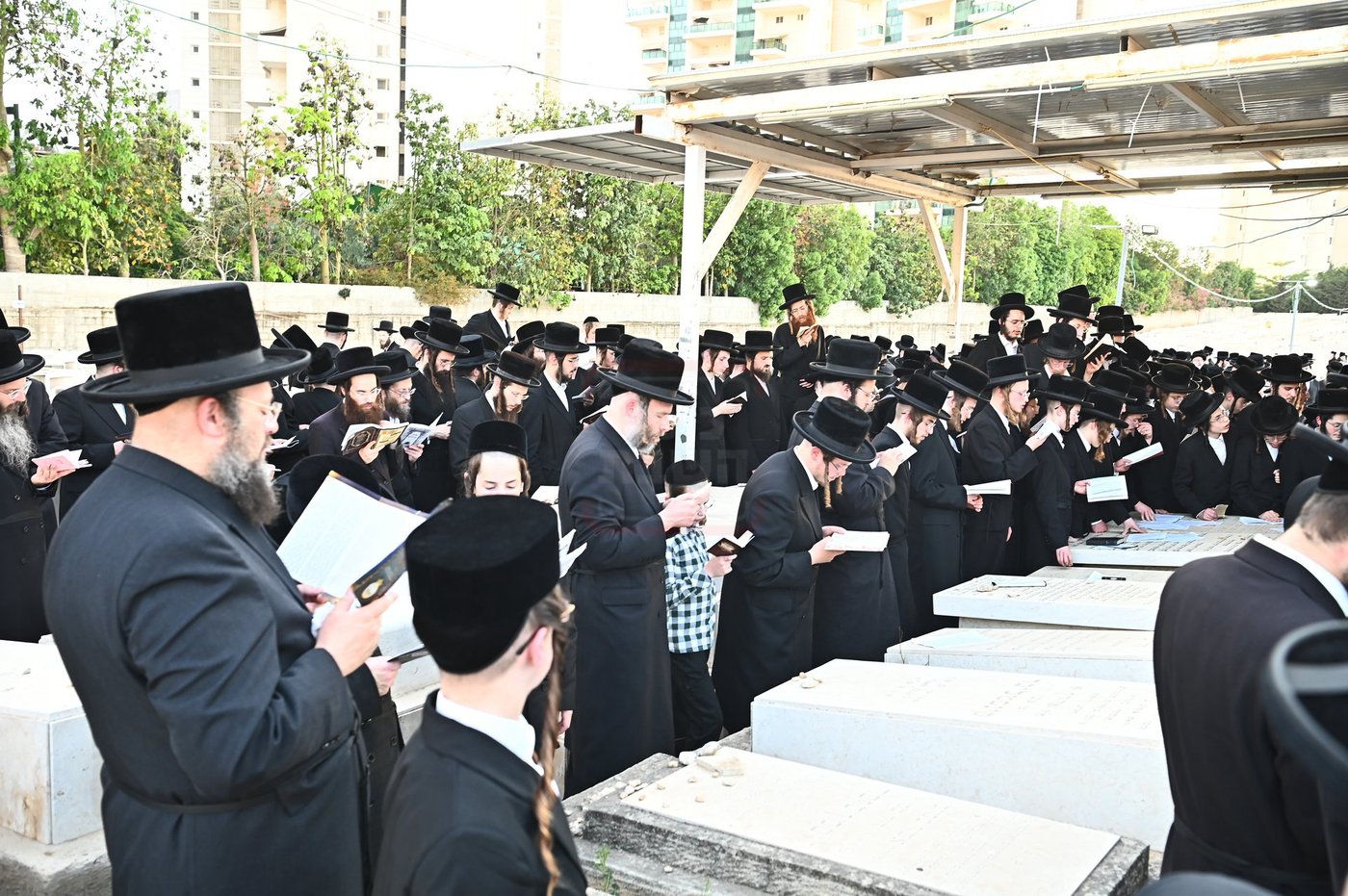 האדמו"ר מסערט ויז'ניץ בתפילה באוהל בית ויז'ניץ בבני ברק