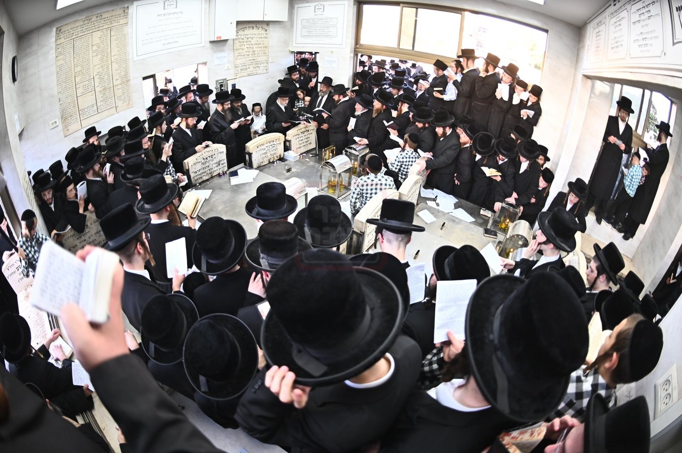 האדמו"ר מסערט ויז'ניץ בתפילה באוהל בית ויז'ניץ בבני ברק