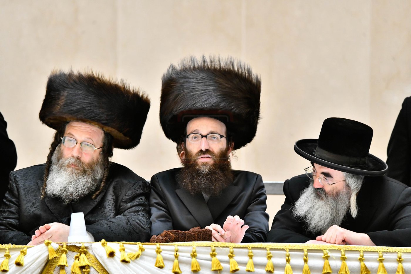 שמחת בית ויז'ניץ סקווירא 