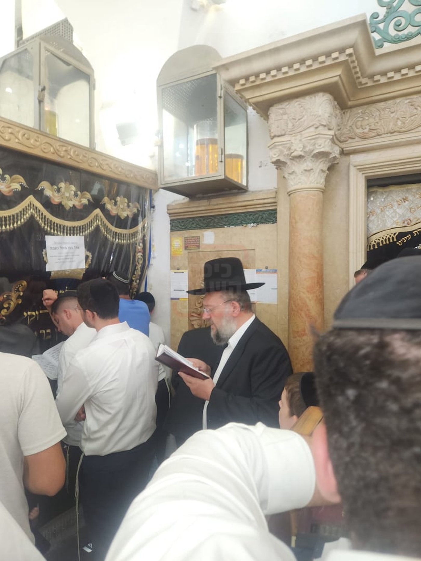 זופניק בכיכר | כל התמונות, הנייעס והחשיפות של השבוע שלא תרצו לפספס