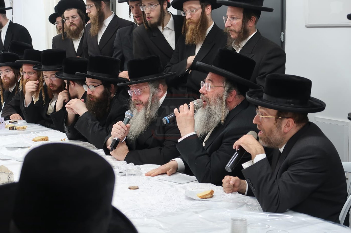 זופניק בכיכר | כל התמונות, הנייעס והחשיפות של השבוע שלא תרצו לפספס