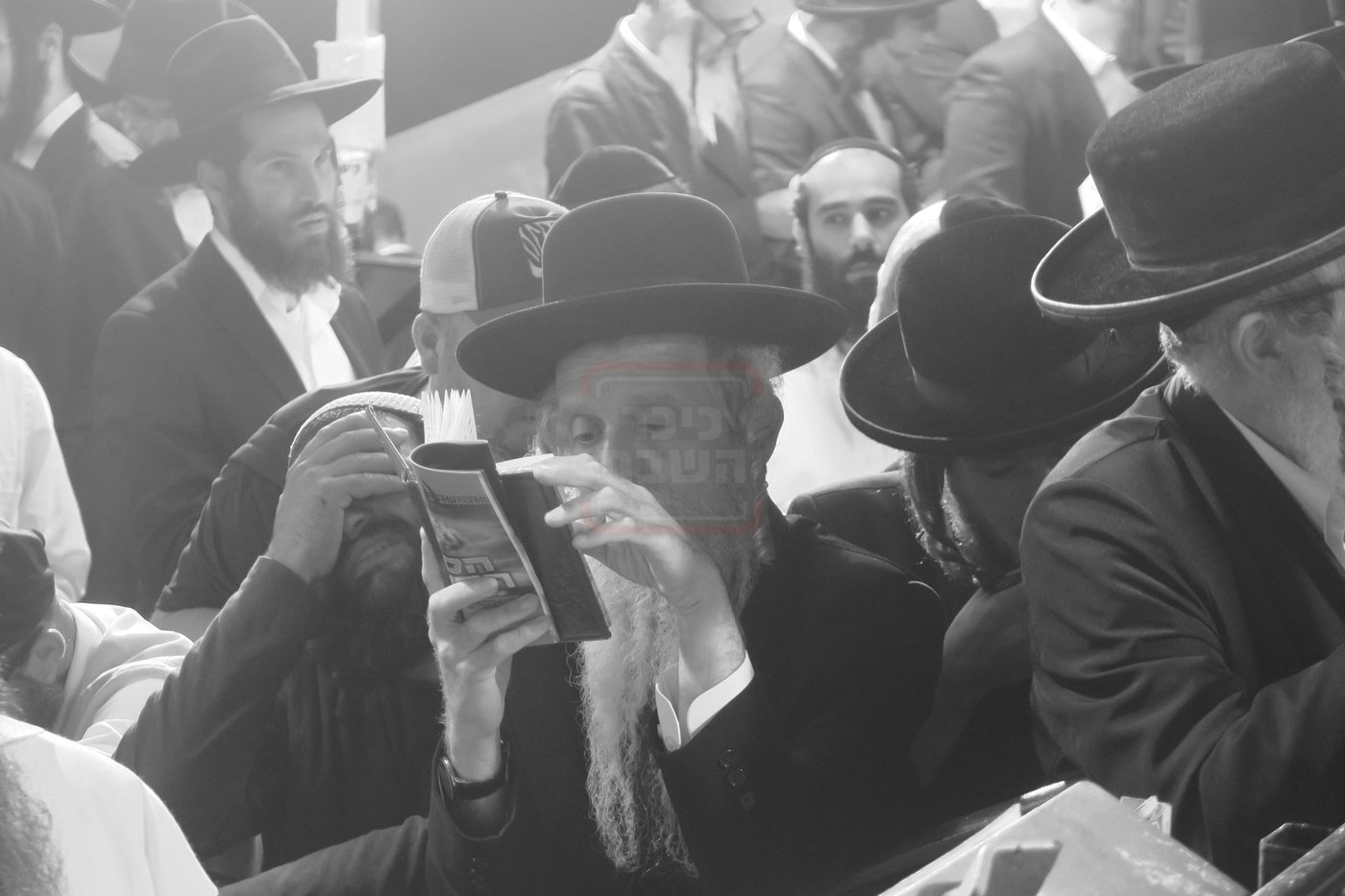 הילולת האר"י בצפת