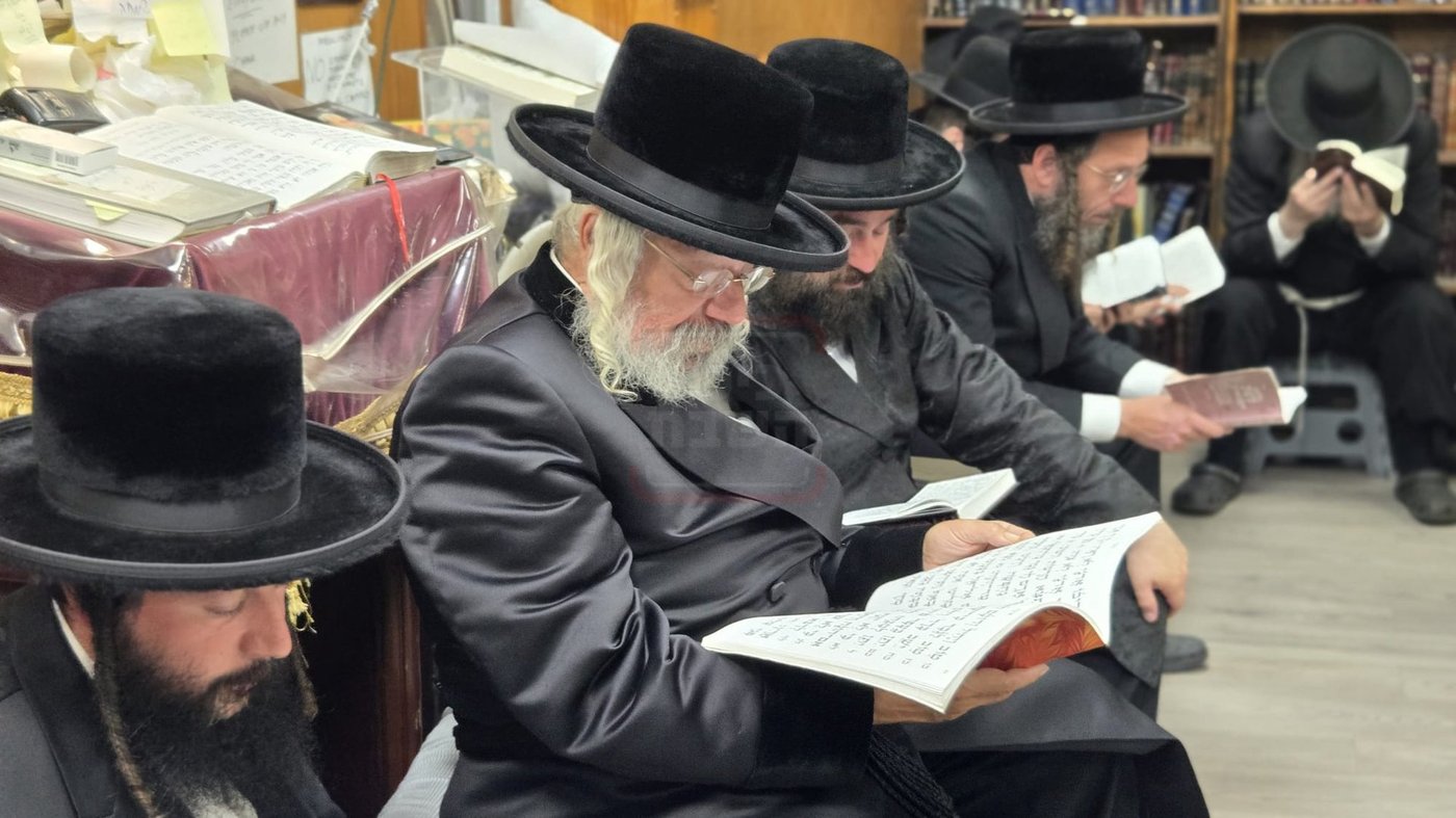 תשעה באב בחצה"ק ניקלשבורג בקאנטרי בוואודבוירן