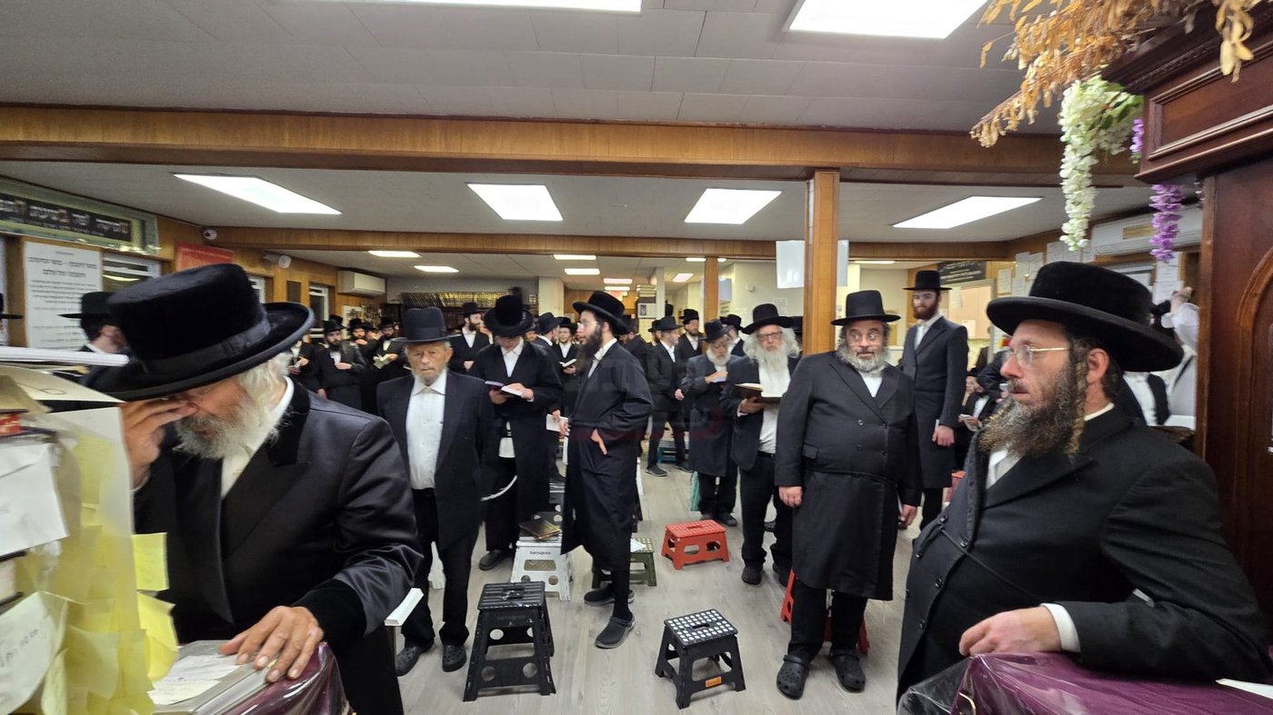 תשעה באב בחצה"ק ניקלשבורג בקאנטרי בוואודבוירן
