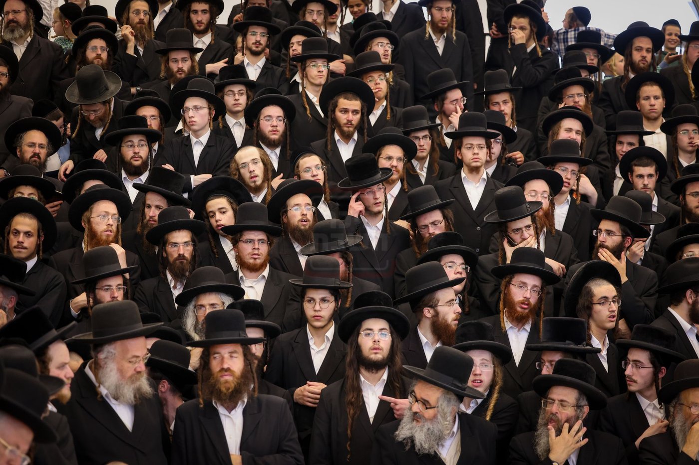 האדמו"ר מאמשינוב בברית בצפת