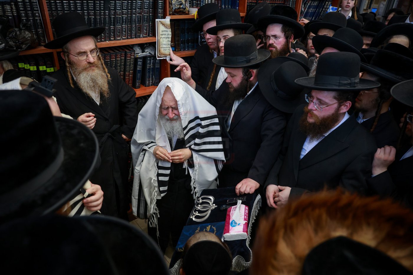 האדמו"ר מאמשינוב בברית בצפת
