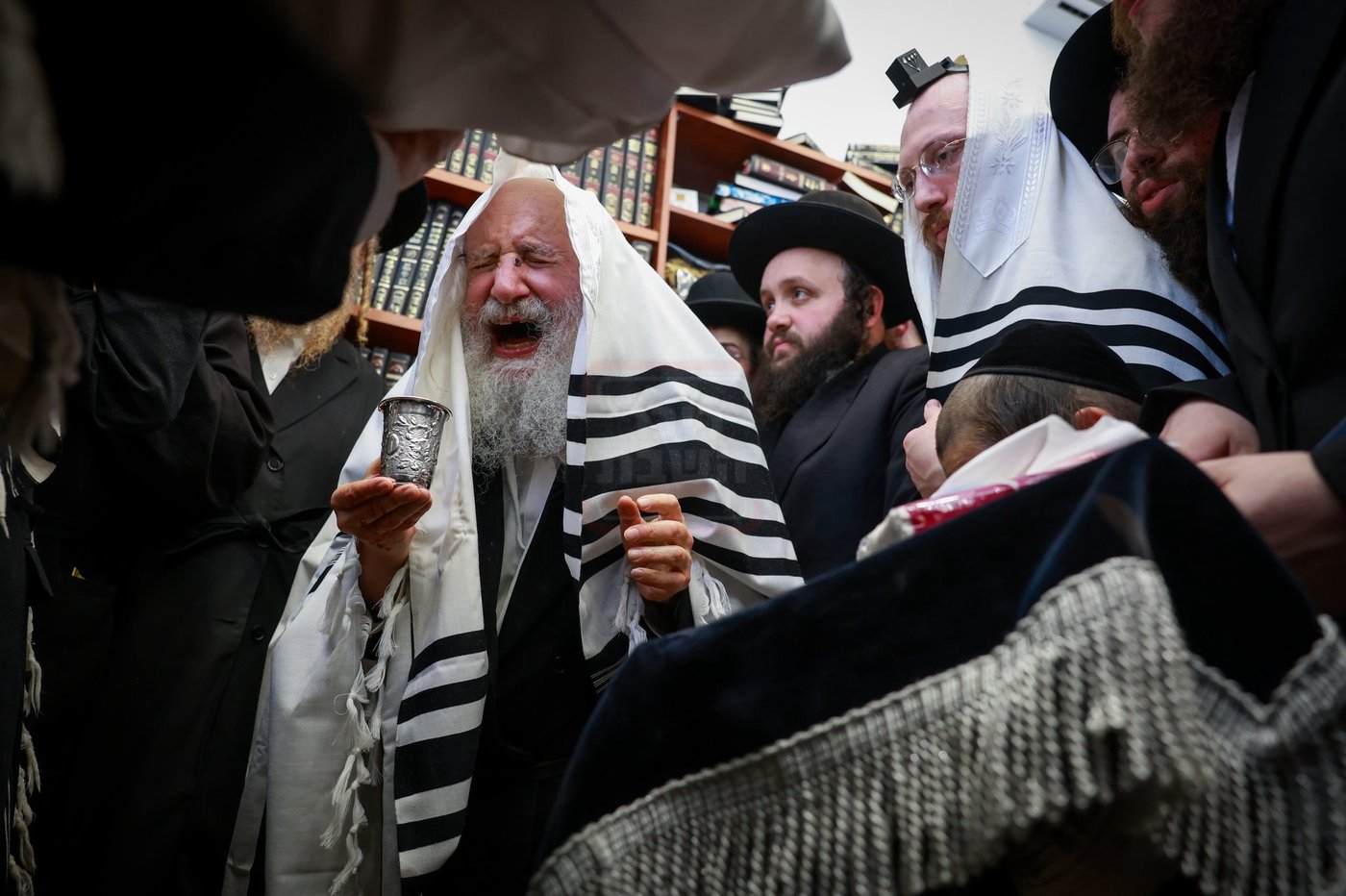 האדמו"ר מאמשינוב בברית בצפת