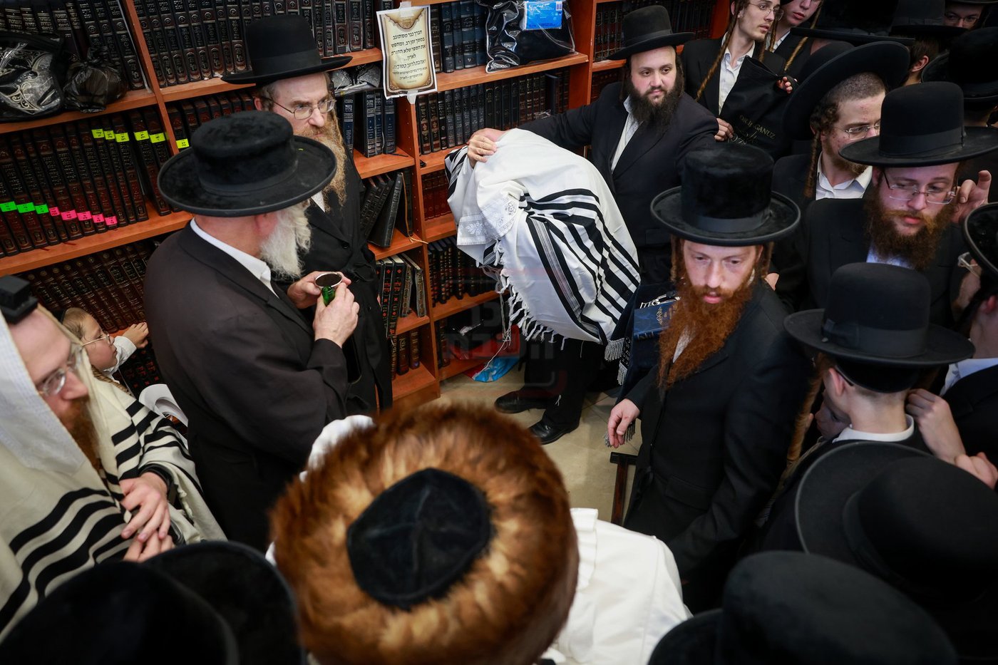 האדמו"ר מאמשינוב בברית בצפת
