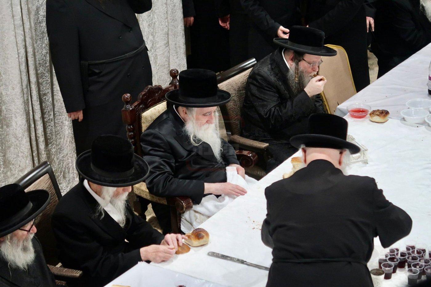 הילולא קדישא במחנובקא בעלזא