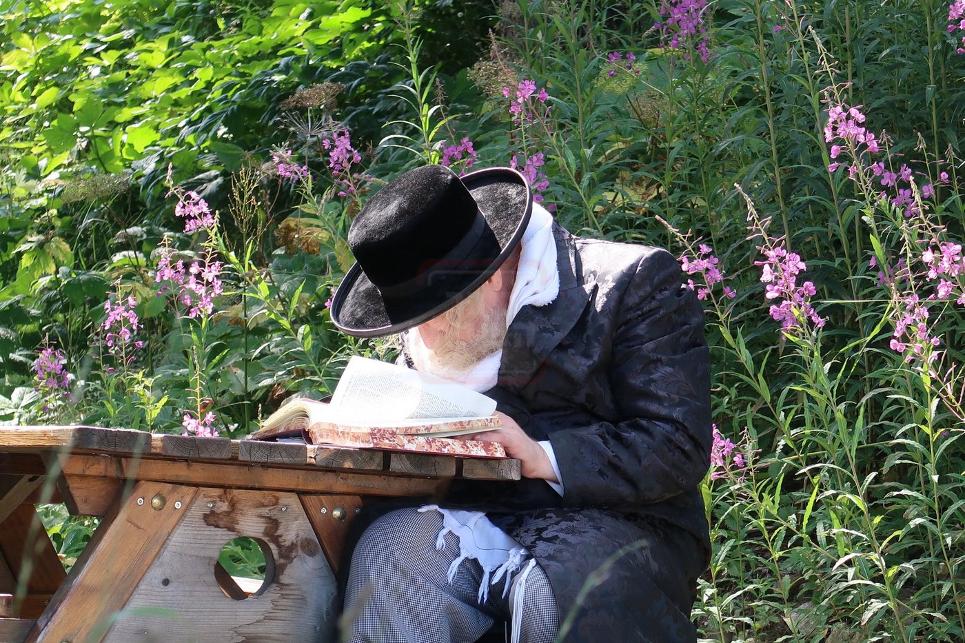 האדמו"ר ממבקשי אמונה במנוחה בדאבוס שבשווייץ